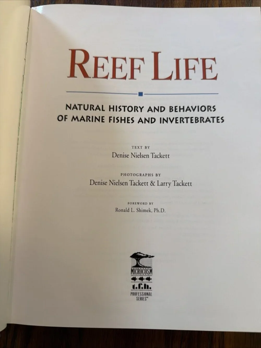 N/A reef life